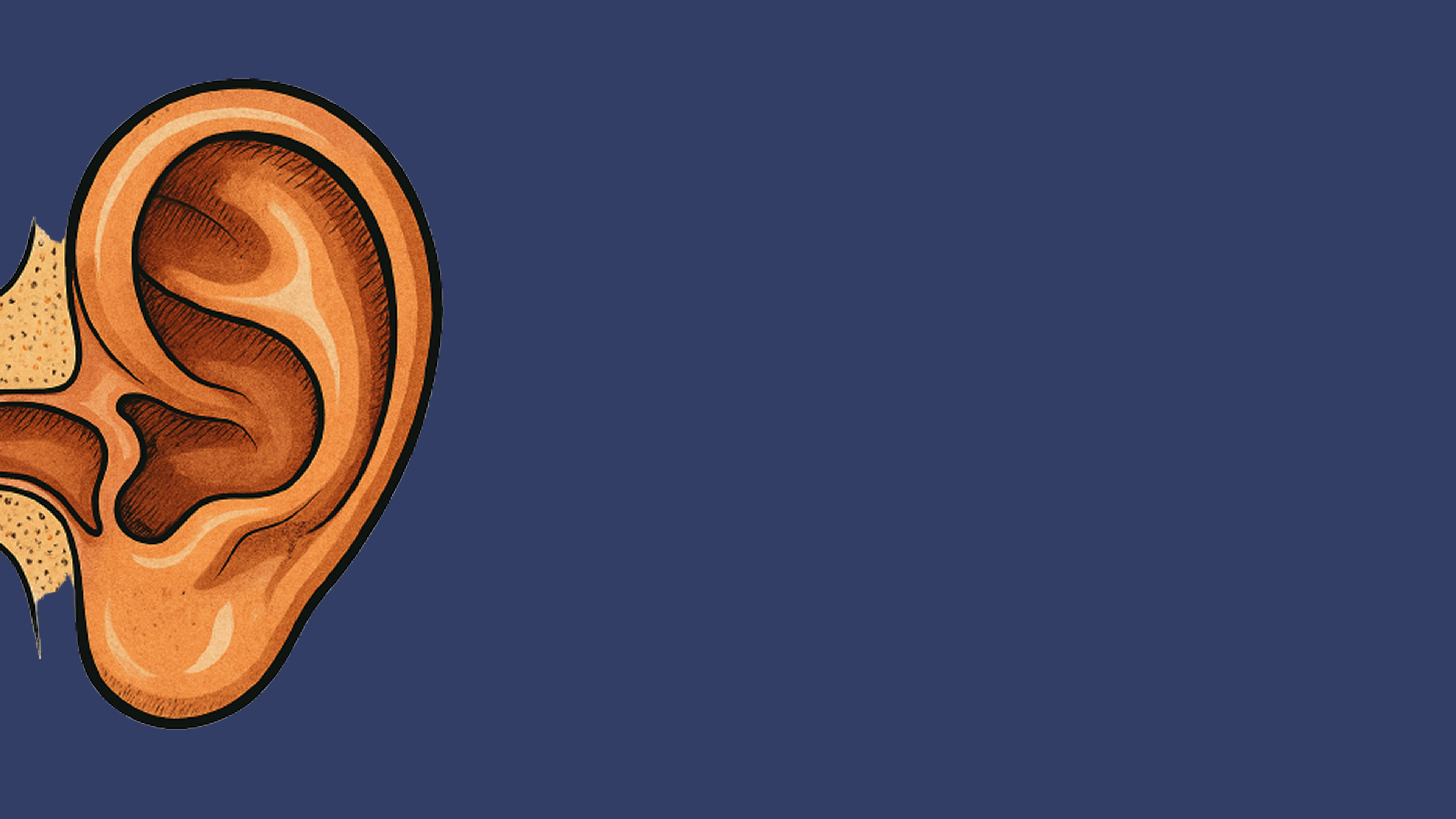 ear